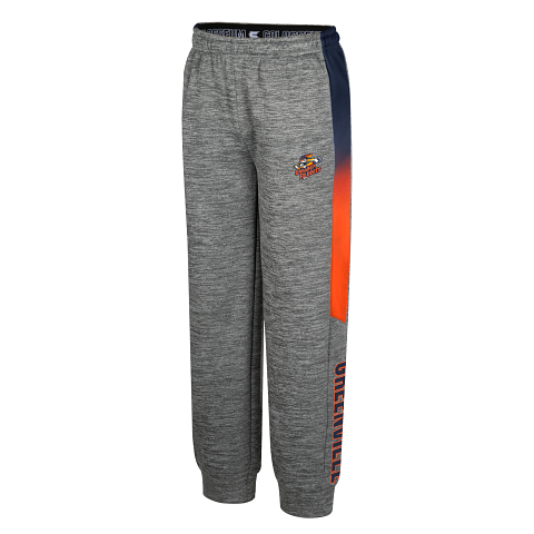 Youth Swamp Rabbits Heather Grey Joggers