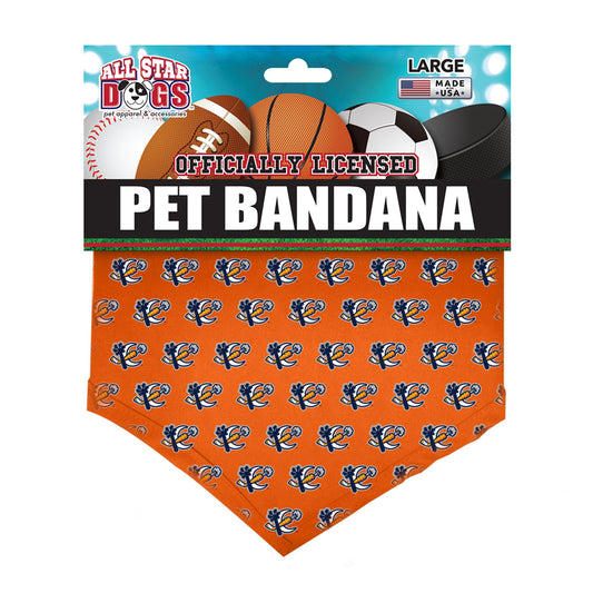 Pet Bandana